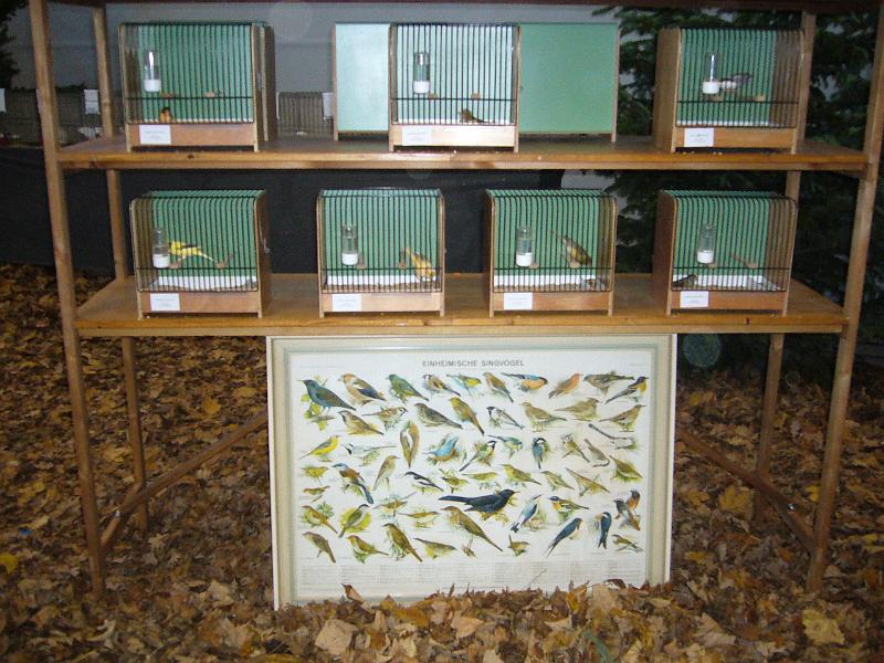 Ortsschau Langenberg 2008 239.jpg - Impressionen der Ortschau Langenberg 2008